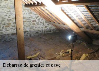 Débarras de grenier et cave  sceaux-92330 Alenzimra Debarras
