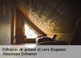 Débarras de grenier et cave  bagneux-92220 Alenzimra Debarras