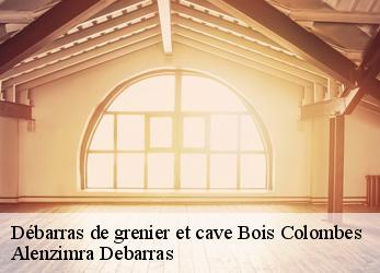 Débarras de grenier et cave  bois-colombes-92270 Alenzimra Debarras