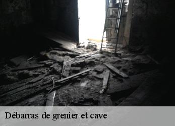 Débarras de grenier et cave  nanterre-92000 Alenzimra Debarras