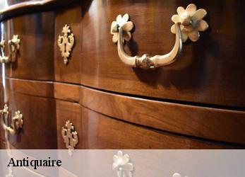 Antiquaire  asnieres-sur-seine-92600 Alenzimra Debarras