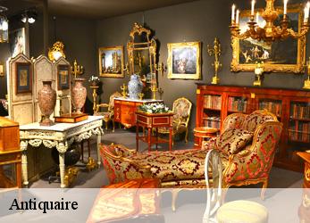 Antiquaire  asnieres-sur-seine-92600 Alenzimra Debarras